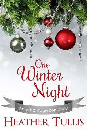 One Winter Night de Heather Tullis