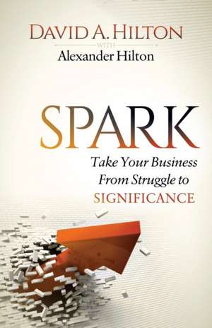 Spark: Take Your Business from Struggle to Significance de David A. Hilton