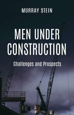 Men Under Construction: Challenges and Prospects de Murray Stein