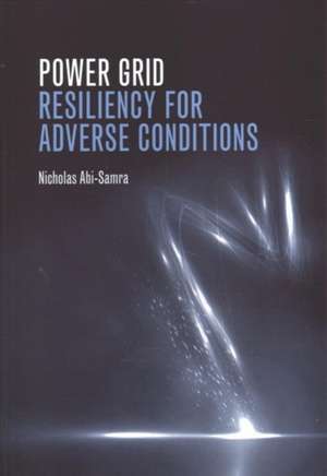 Power Grid Resiliency for Adverse Conditions de Nicholas Abi-Samra