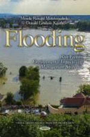 Flooding de Moseki Ronald Motsholapheko