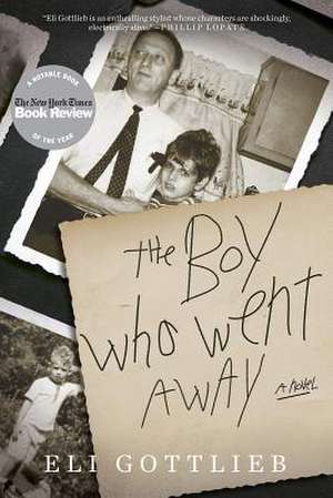 The Boy Who Went Away de Eli Gottlieb