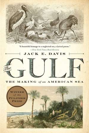 The Gulf – The Making of An American Sea de Jack E. Davis