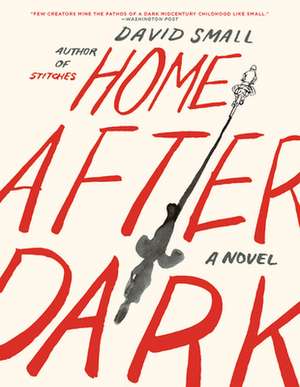 Home After Dark – A Novel de David Small