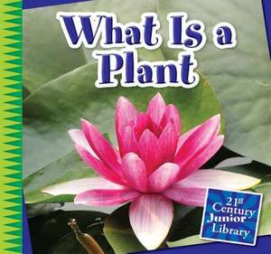 What Is a Plant de Jennifer Colby