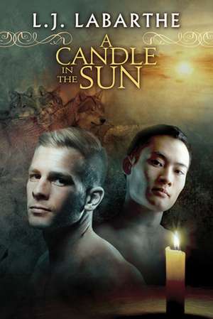 A Candle in the Sun de L. J. LaBarthe