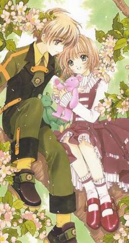 Cardcaptor Sakura Collector's Edition 5 de CLAMP