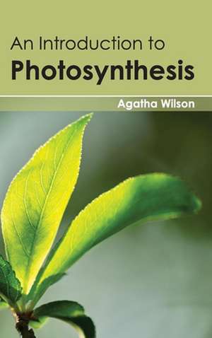 Introduction to Photosynthesis: Approaches and Environmental Risks de Agatha Wilson