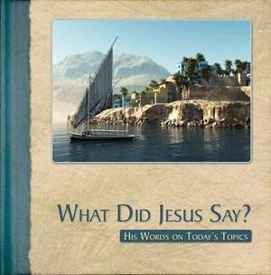 What Did Jesus Say? de Sally Glen