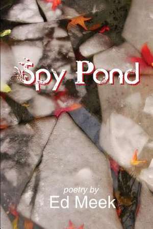 Spy Pond de Ed Meek