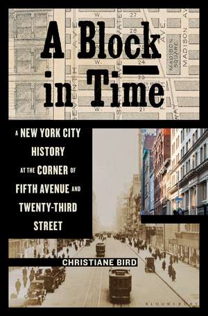 A Block in Time: A New York City History at the Corner of Fifth Avenue and Twenty-Third Street de Christiane Bird