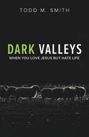 Dark Valleys de Smith, Todd M.