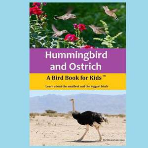 Hummingbird and Ostrich de Novare Lawrence