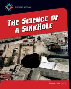 The Science of a Sink Hole de Robin Michal Koontz