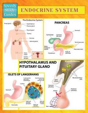 Endocrine System (Speedy Study Guides) de Speedy Publishing LLC