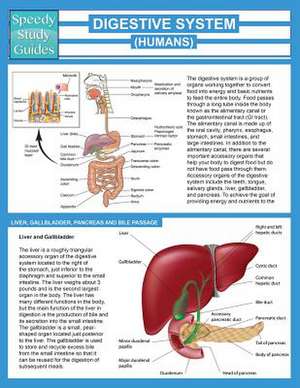 Digestive System (Humans) (Speedy Study Guide) de Speedy Publishing Llc