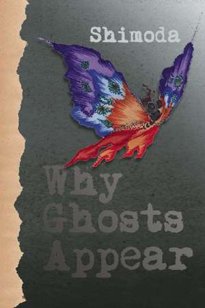 Why Ghosts Appear de Todd Shimoda