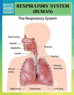 Respiratory System (Human) (Speedy Study Guides) de Speedy Publishing LLC