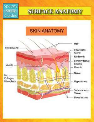 Surface Anatomy (Speedy Study Guides) de Speedy Publishing Llc