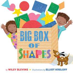 Big Box of Shapes de Wiley Blevins