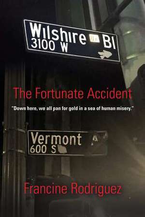 The Fortunate Accident de Francine Rodriguez