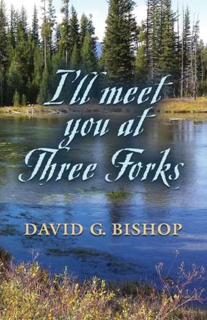 I'll Meet You at Three Forks de David G. Bishop