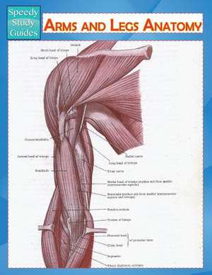 Arms and Legs Anatomy (Speedy Study Guide) de Speedy Publishing LLC