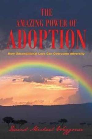 The Amazing Power of Adoption de David Michael Waggoner