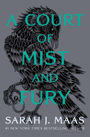 A Court of Mist and Fury de Sarah J. Maas