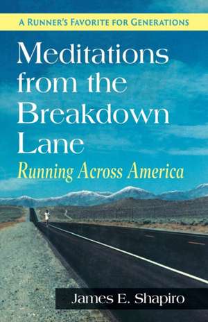 Meditations from the Breakdown Lane de James E. Shapiro