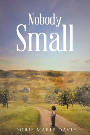 Nobody Small de Doris Marie Davis