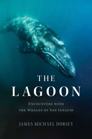 The Lagoon : Encounters with the Whales of San Ignacio de James Michael Dorsey