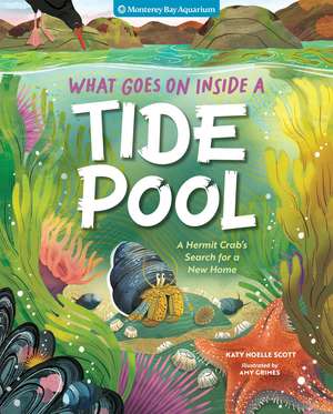 What Goes On Inside a Tide Pool: A Hermit Crab's Search for a New Home de Amy Grimes