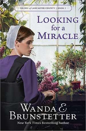 Looking for a Miracle: Volume 2 de Wanda E. Brunstetter