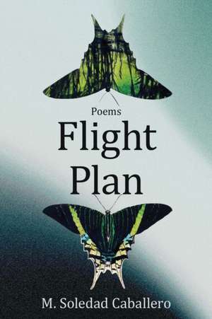 Flight Plan de M. Soledad Caballero
