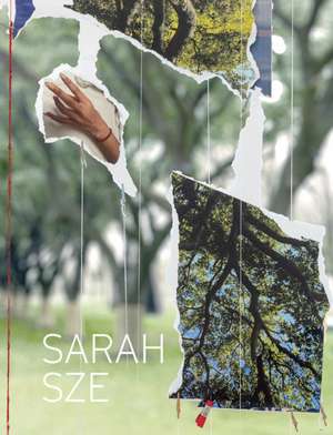 Sarah Sze de Jed Morse