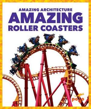 Amazing Roller Coasters de Anita Nahta Amin