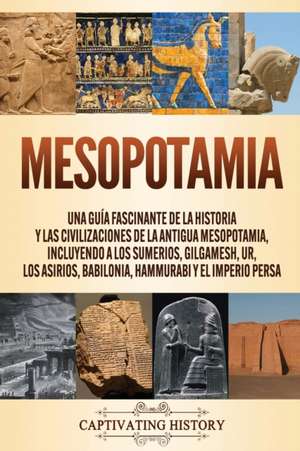 Mesopotamia de Captivating History