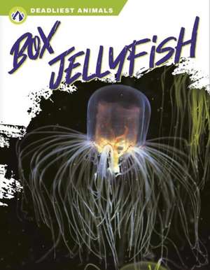 Box Jellyfish de Connor Stratton