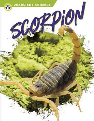 Scorpion de Rachel Hamby