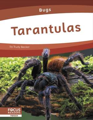 Tarantulas de Trudy Becker