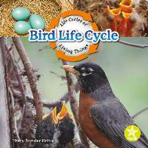 Bird Life Cycle de Tracy Vonder Brink