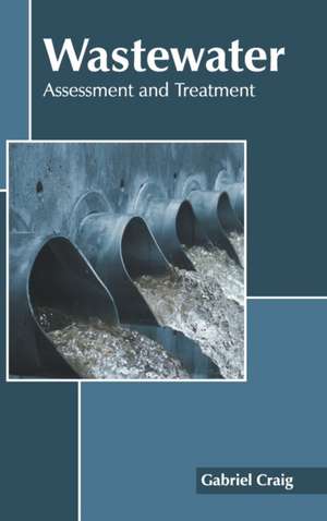 Wastewater: Assessment and Treatment de Gabriel Craig