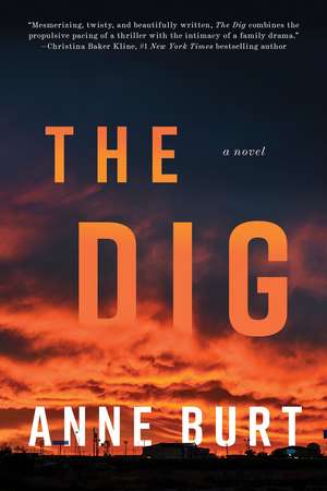 The Dig: A Novel de Anne Burt