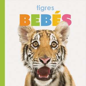 Tigres Bebés de Kate Riggs