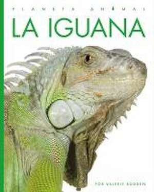 La Iguana de Valerie Bodden