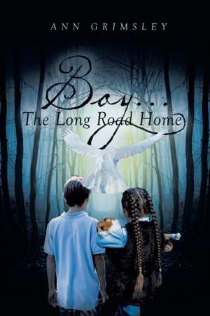 Boy... de Ann Grimsley