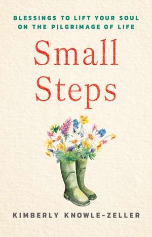 Small Steps de Kimberly Knowle-Zeller