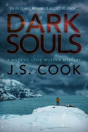 Dark Souls: Volume 4 de J. S. Cook