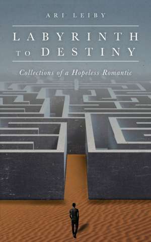 Labyrinth to Destiny de Ari Leiby